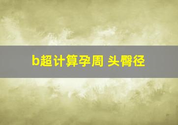 b超计算孕周 头臀径